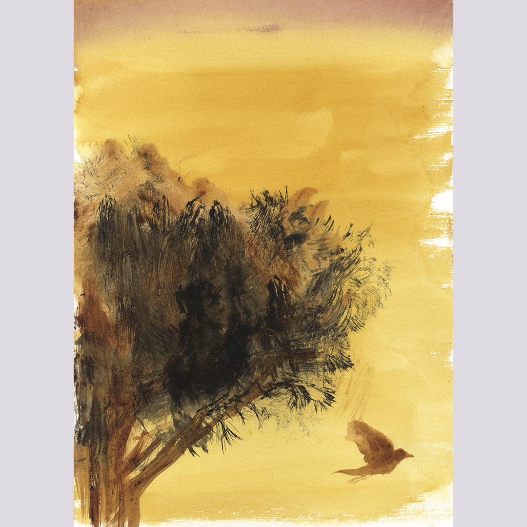 Entonces soy los pinos