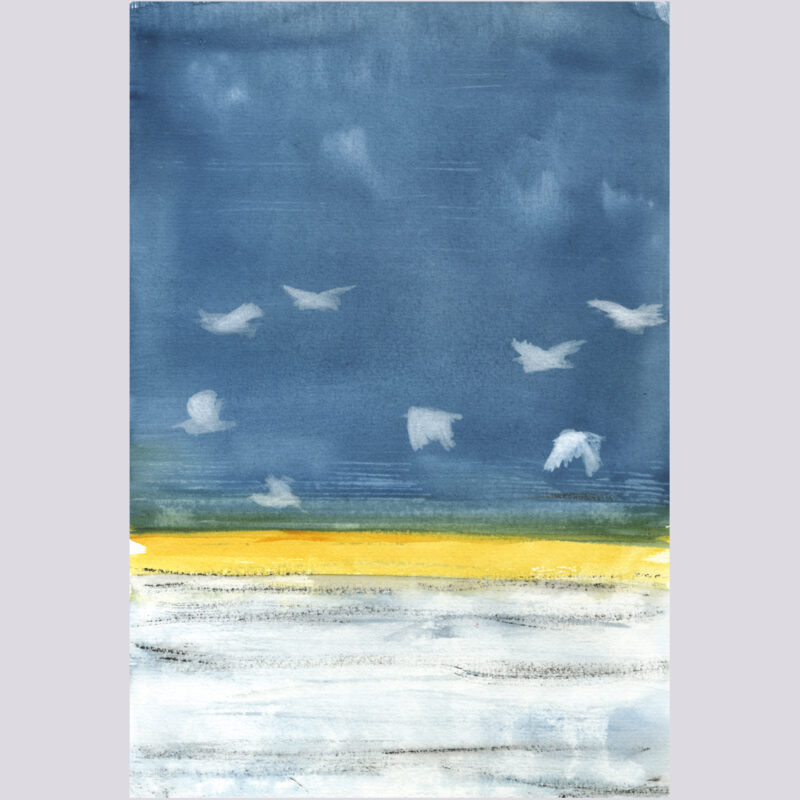 La luz del mediodía