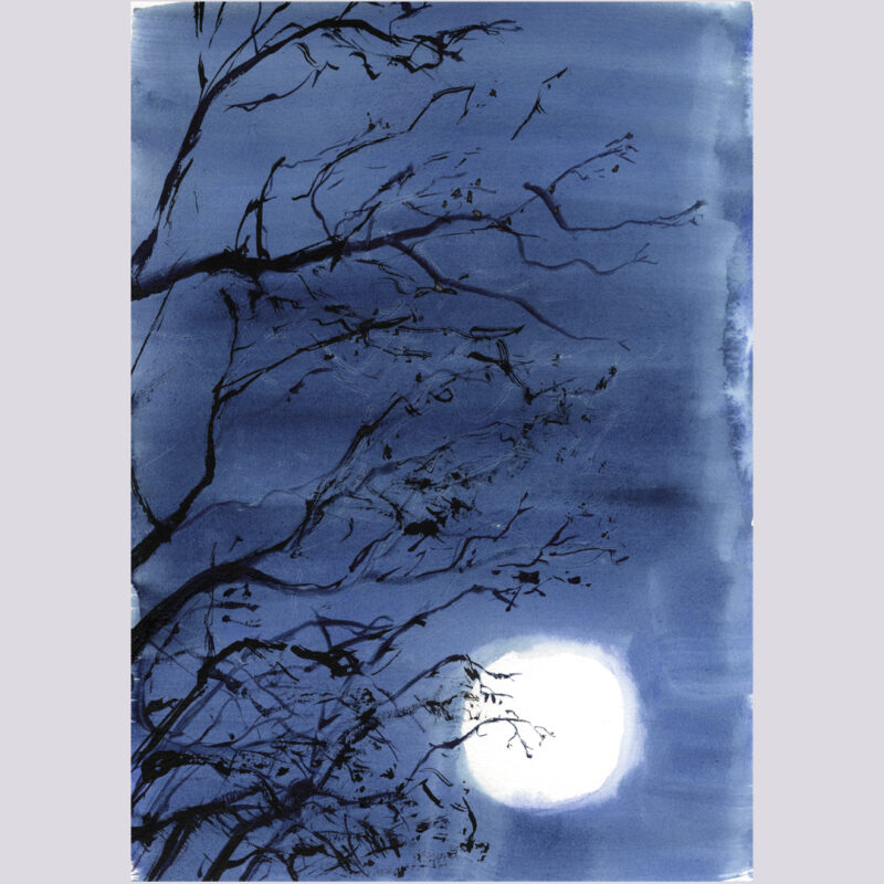 El espino solitario