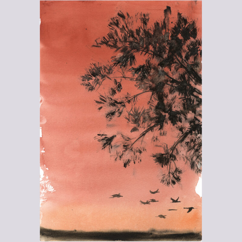 Un arbolillo era ese pino