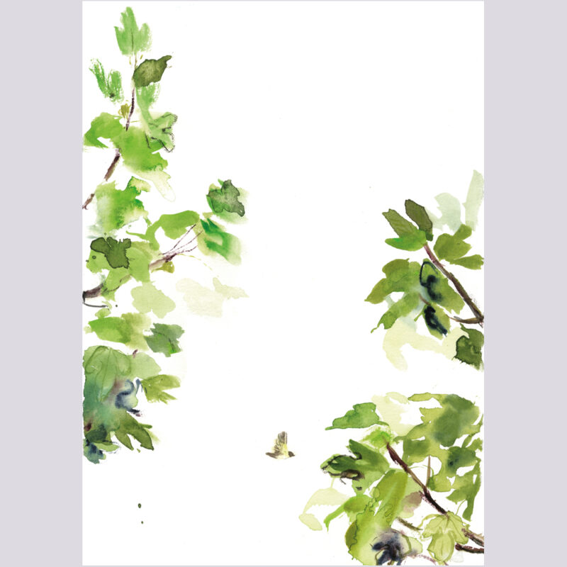 Leve es la primavera