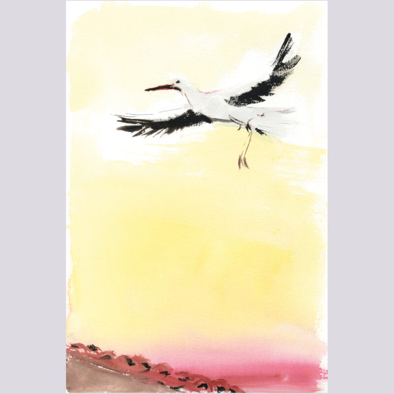 ¿Qué hace el sonido de la noche en verano dentro de casa? 11