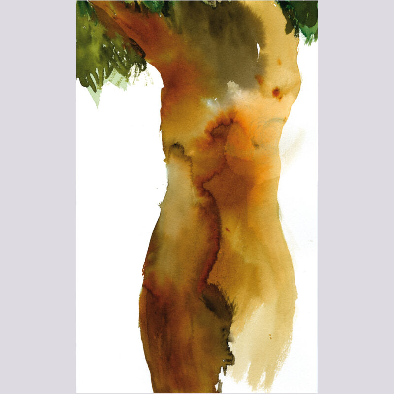 Apariencia de árbol