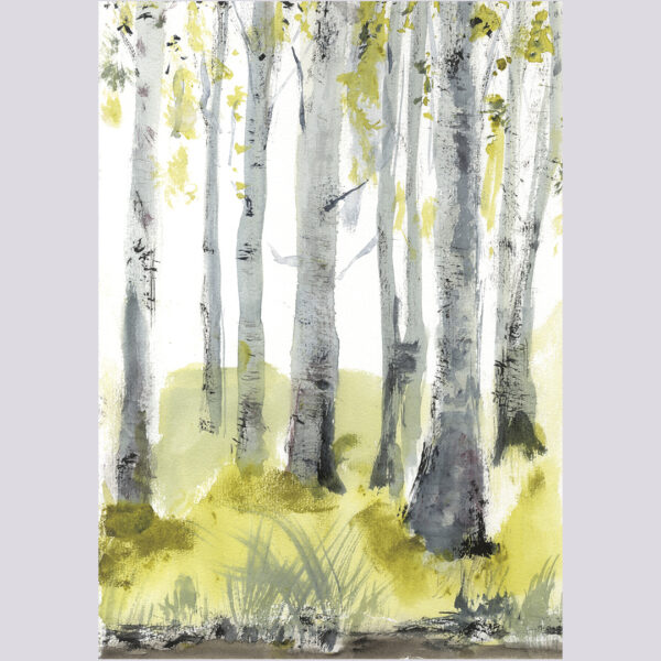 La lentitud de los bueyes 02