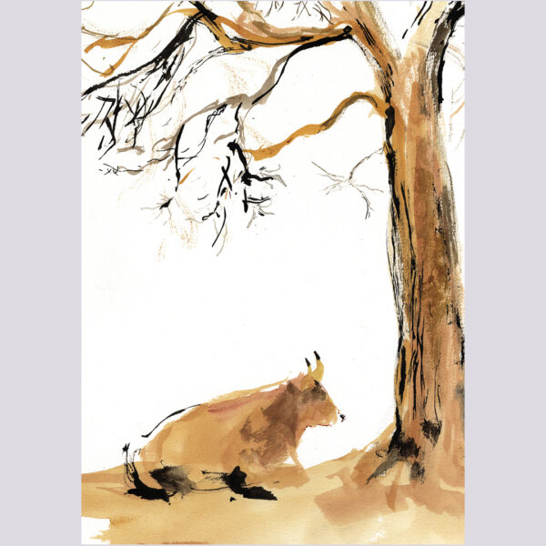 La lentitud de los bueyes 06